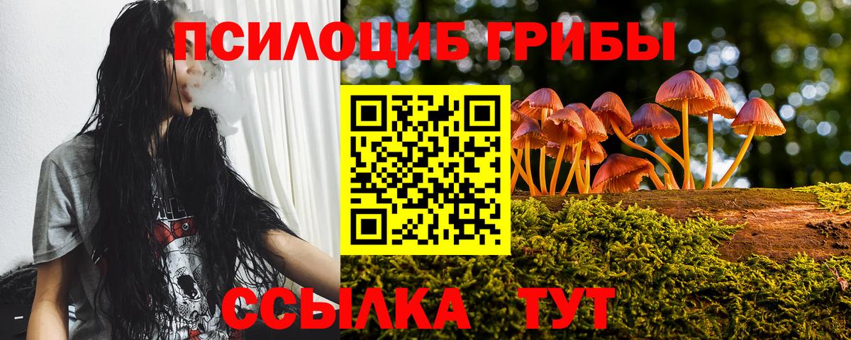 Псилоцибиновые грибы Magic Shrooms Мыски