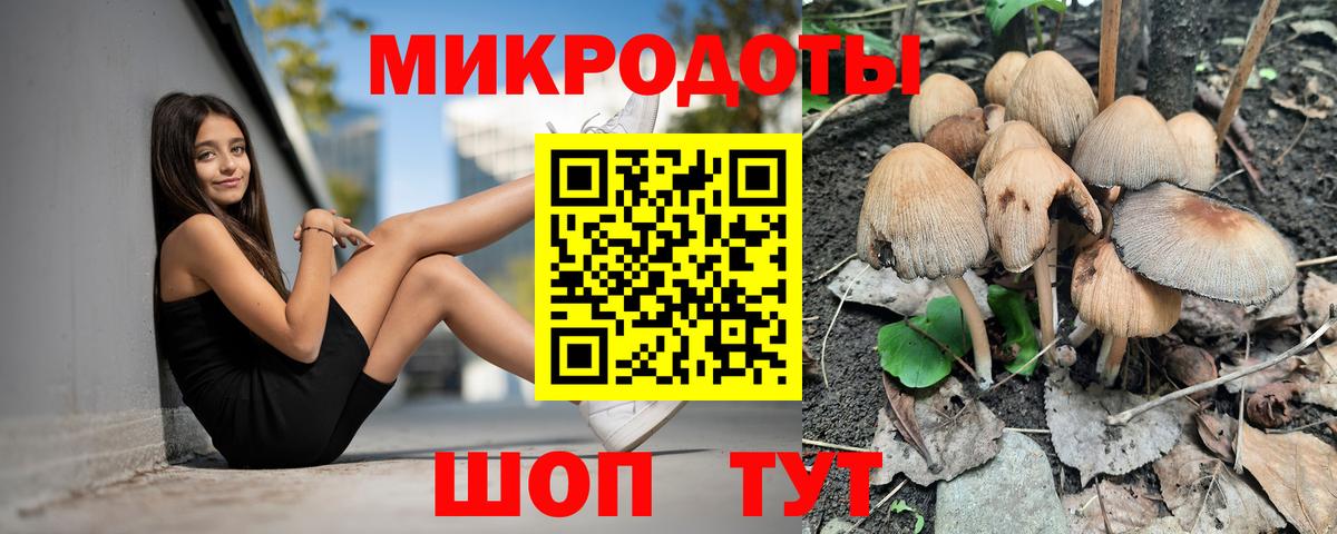 Галлюциногенные грибы Psilocybe  Вход с VPN  Мыски 